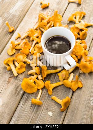 Eine weiße Tasse Kaffee und Tee umgeben von vielen Waldpilzen auf dem Hintergrund von altem Holz Stockfoto