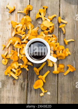 Eine weiße Tasse Kaffee und Tee umgeben von vielen Waldpilzen auf dem Hintergrund von altem Holz Stockfoto