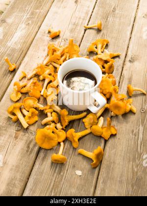 Eine weiße Tasse Kaffee und Tee umgeben von vielen Waldpilzen auf dem Hintergrund von altem Holz Stockfoto