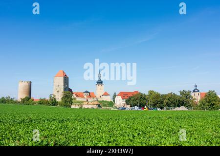 Querfurt: Burg Querfurt mit Turm Dicker Heinrich, Turm Marterturm, Turm Pariser Turm und Kirche St. Lamberti in Sachsen-Anhalt, Sachsen-an Stockfoto