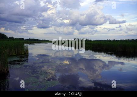 Wolken spiegeln sich an einem Sommerabend in einem Teich umgebenen Moorland Stockfoto