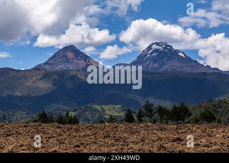 Andenlandschaft, die bewirtschaftete Felder, feuchte Wälder, Berge und blauen Himmel vereint Stockfoto