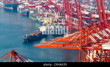 QINGDAO, CHINA - 11. Juli 2024 - Container werden am Qianwan Containerterminal des Hafens Qingdao, Hafen Shandong, China, 11. Juli, be- und entladen. Stockfoto