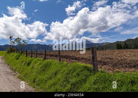 Andenlandschaft, die bewirtschaftete Felder, feuchte Wälder, Berge und blauen Himmel vereint Stockfoto