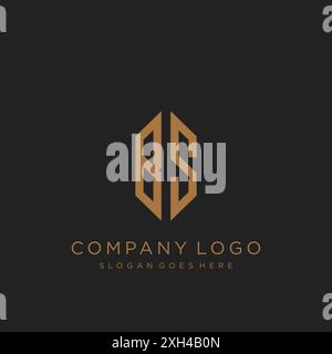 Design mit BS Letter-Logo Stock Vektor