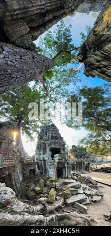 TA Prohm Tempel, ein Mahayana-buddhistisches Kloster, das Ende des 12. Jahrhunderts für den Khmer-König Jayavarman VII. In Kambodscha erbaut wurde. Stockfoto