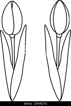 Set aus 2 umrissenen Tulpenblüten. Designelemente zum Ausmalen von Büchern oder Frühlingsgrüßen. Isolieren. EPS. Aufkleber. Symbol. Vektor für Karten, Zeiger, Poster, Banner oder Web, Reklametafeln, aktion, Preis Stock Vektor