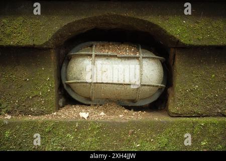 Alte industrielle Vintage Bunkerlampen auf Moos-Natursteinen montiert Stockfoto