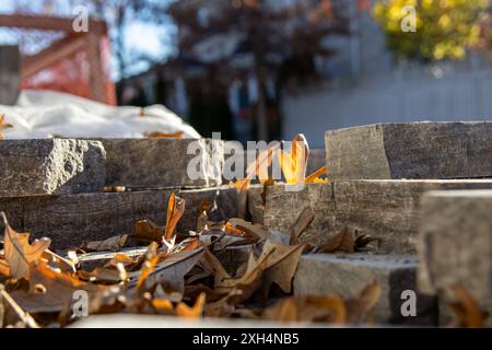 Herbstlaub eingebettet zwischen verwitterten Steinziegeln - warmes Sonnenlicht, ruhige Hinterhoflage. Aufgenommen in Toronto, Kanada. Stockfoto