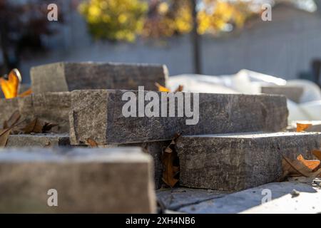 Herbstlaub eingebettet zwischen verwitterten Steinziegeln - warmes Sonnenlicht, ruhige Hinterhoflage. Aufgenommen in Toronto, Kanada. Stockfoto