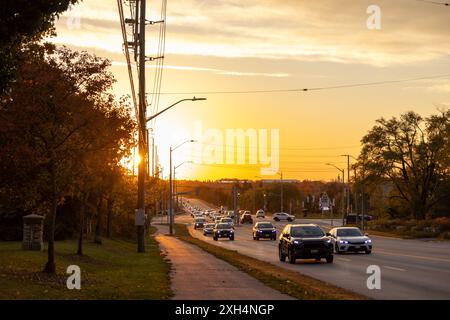 Golden Hour Sonnenuntergang - belebte Straße gesäumt von Herbstbäumen - Versorgungsmasten - warme Töne der untergehenden Sonne - Fahrzeuge in Bewegung auf Asphaltstraße. Ta Stockfoto