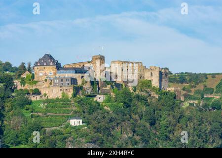 Sankt Goar: Schloss Rheinfels in Rheintal, Rheinland-Pfalz, Rheinland-Pfalz, Deutschland Stockfoto