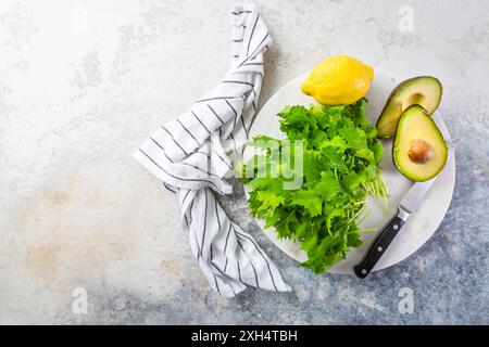 Zubereitung von frischem Gemüsesalat, Zutaten mit Gemüse Stockfoto