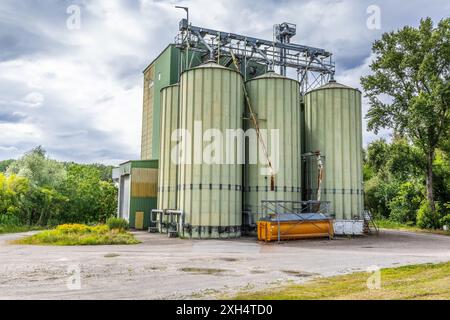 Kornsilos mit Saatgutreinigungsanlage in agroverarbeitenden Produktionsanlagen zur Verarbeitung, Trocknung, Reinigung und Lagerung landwirtschaftlicher Erzeugnisse Stockfoto