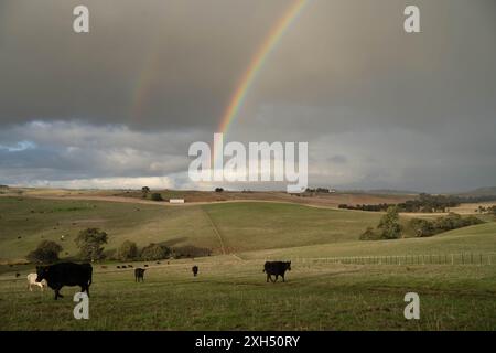 Nachhaltige Landwirtschaftspraktiken: Verbesserung von Ökosystemen, Existenzgrundlagen und Resilienz durch ganzheitliche, CO2-neutrale Ansätze Stockfoto