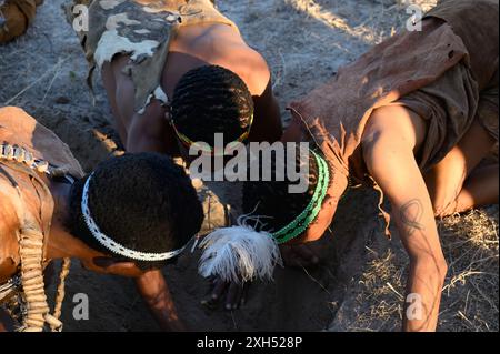 San Buschmänner beugen sich über den Boden und graben nach Skorpionen im Busch in Botswana Stockfoto