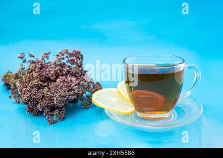 Origanum vulgare oder auch bekannt als Marjoran, Bunch neben infundiertem Tee mit Zitronenscheiben auf Blau Stockfoto