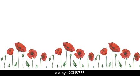Nahtloser Rand von Aquarellillustrationen von rotem Mohn und Blättern. Handgezeichnet, isoliert auf weißem Hintergrund Stockfoto