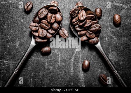 Zwei silberne Löffel sind mit glänzend braunen Kaffeebohnen vor einem dunklen, strukturierten Hintergrund gefüllt. Mehrere lose Kaffeebohnen sind verstreut Stockfoto