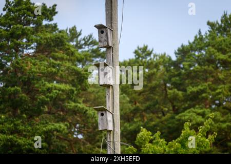 Foto mit selektivem Fokus. Hölzerne Vogelhäuser hängen an Holzpfosten. Stockfoto