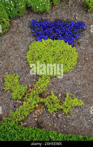 Ein kleiner Spaziergang in Stirling Castle Stockfoto