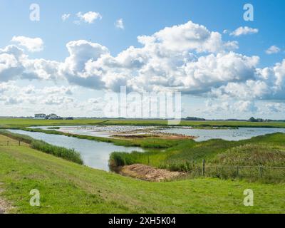 Groningen, Niederlande - 9. August 2023: Teilweise überflutete Küstenzone der Nordsee, von einem Deich aus gesehen Stockfoto