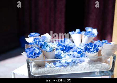 Blaue Hortensie Blumen in Papierzapfen angeordnet, stehend in einer Glasvase gefüllt mit weißem Reis, bereit für eine Hochzeitszeremonie Stockfoto