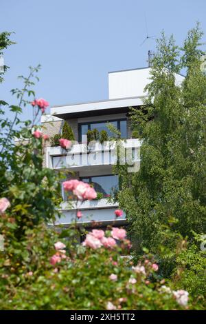 Wohnhaus, modernes Wohnhaus, Mehrfamilienhaus, Oldenburg in Oldenburg, Niedersachsen, Deutschland Stockfoto