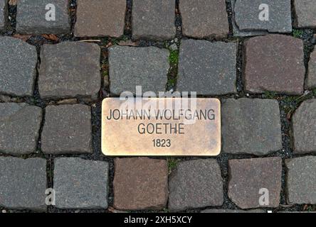 Stolperstein für Johann Wolfgang von Goethe vor dem Grandhotel Pupp im Kurviertel Karlsbad, Böhmen, Tschechien Stockfoto