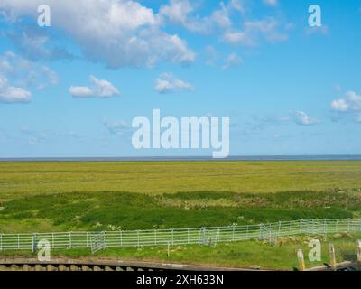 Groningen, Niederlande - 9. August 2023: Moorlandschaft als landwirtschaftliche Fläche genutzt Stockfoto