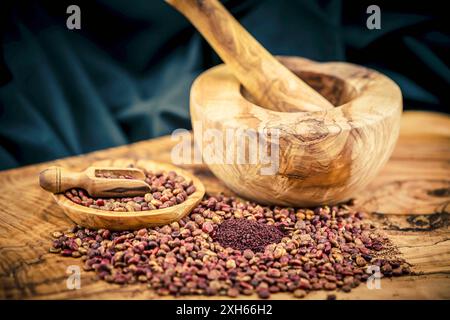 sizilianischer Sumach (Rhus coriaria), getrocknete Sumaksamen ganz und mit Mörtel gemahlen Stockfoto