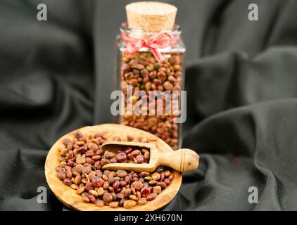 sizilianischer Sumach (Rhus coriaria), getrocknete Sumaksamen in Gläsern Stockfoto