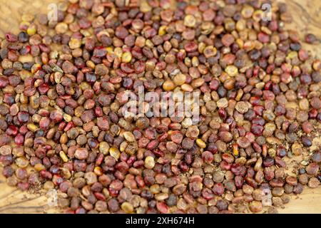 sizilianische Sumach (Rhus coriaria), getrocknete Früchte auf einem Holzteller Stockfoto