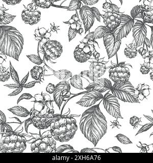Nahtloses Himbeermuster. Vektorzeichnung. Isolierte Skizze von Beeren und Blättern im Stilstil auf weißem Hintergrund. Detaillierte Linienskizze, Hand d Stock Vektor