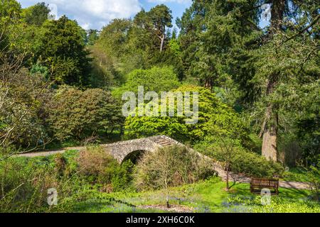 Steinbrücke über Schrottbrand im Dawyck Botanic Garden, Stobo, bei Peebles, Scottish Borders, Schottland, UK Stockfoto