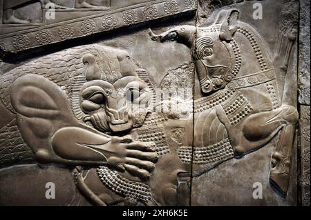 19. Jahrhundert Gips im britischen Museum des zoroastrischen Löwen, der um 500 v. Chr. den Stier angreift. Palast von Darius in Persepolis, Iran Stockfoto