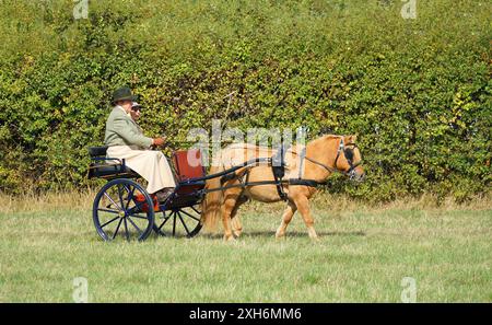 Kutschfahrt Gig mit einem Pferd und Fahrer und Beifahrer auf dem Feld. Stockfoto