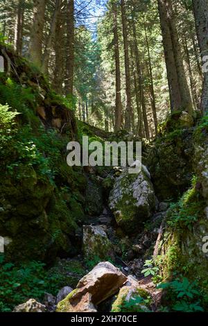 Ausgetrockneter Flussbett in den hohen Bergen, bei Dürrezeiten Stockfoto