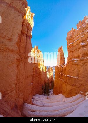 Wall Street am Navajo Loop Trail. Orange Pillars, Bryce Canyon Nationalpark, USA Stockfoto