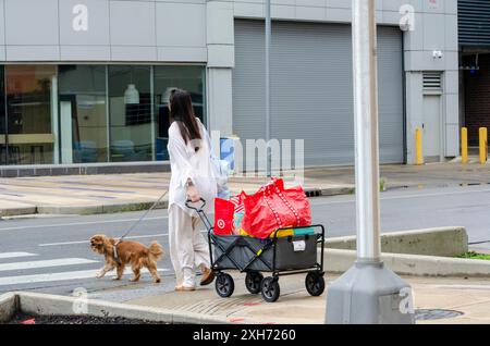 Frau mit Hund an der Straßenecke Stockfoto