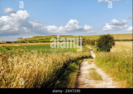 Der Höhenweg in der Nähe von Wayland Schmiede in Richtung Uffington Castle. Teil der 5000 Jahre alten Langdistanz Strecke. Oxfordshire, England Stockfoto