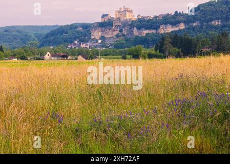 Ein Sommermorgen in der Dordogne mit Blick auf das schöne Dorf Beynac-et-Cazenac, das im Südwesten Frankreichs im Nouvelle-Aquitain liegt Stockfoto