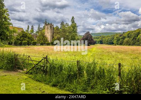 Dunkeld Cathedral am Fluss Tay, Perth und Kinross, Schottland Stockfoto