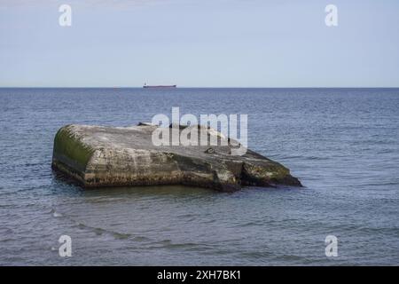 Skagen, Dänemark. April 2024 30. Ein allgemeiner Blick auf die Grenen-Landzunge mit Bunkerresten aus dem 2. Weltkrieg ist in Skagen, Dänemark, am 30. April 2024 zu sehen. Während des 2. Weltkriegs verwandeln die deutschen Besatzungsmächte den nördlichsten Punkt Dänemarks, die Grenen-Landzunge, in einen befestigten Stützpunkt namens Hamburg. Das Skagen Bunkermuseum wird in einem ehemaligen Krankenhausbunker (Typ Regelbau 638) errichtet. Auf den Überresten eines Bunkers liegt eine graue Robbe. (Foto: Michal Fludra/NurPhoto) Credit: NurPhoto SRL/Alamy Live News Stockfoto