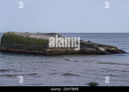 Skagen, Dänemark. April 2024 30. Ein allgemeiner Blick auf die Grenen-Landzunge mit Bunkerresten aus dem 2. Weltkrieg ist in Skagen, Dänemark, am 30. April 2024 zu sehen. Während des 2. Weltkriegs verwandeln die deutschen Besatzungsmächte den nördlichsten Punkt Dänemarks, die Grenen-Landzunge, in einen befestigten Stützpunkt namens Hamburg. Das Skagen Bunkermuseum wird in einem ehemaligen Krankenhausbunker (Typ Regelbau 638) errichtet. Auf den Überresten eines Bunkers liegt eine graue Robbe. (Foto: Michal Fludra/NurPhoto) Credit: NurPhoto SRL/Alamy Live News Stockfoto