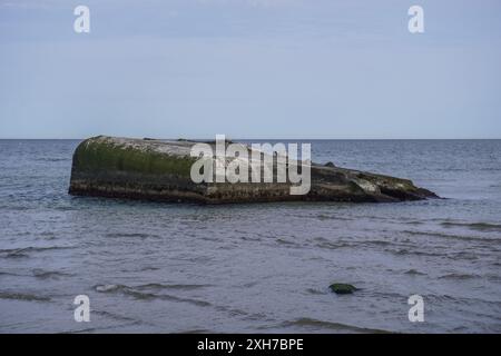 Skagen, Dänemark. April 2024 30. Ein allgemeiner Blick auf die Grenen-Landzunge mit Bunkerresten aus dem 2. Weltkrieg ist in Skagen, Dänemark, am 30. April 2024 zu sehen. Während des 2. Weltkriegs verwandeln die deutschen Besatzungsmächte den nördlichsten Punkt Dänemarks, die Grenen-Landzunge, in einen befestigten Stützpunkt namens Hamburg. Das Skagen Bunkermuseum wird in einem ehemaligen Krankenhausbunker (Typ Regelbau 638) errichtet. Auf den Überresten eines Bunkers liegt eine graue Robbe. (Foto: Michal Fludra/NurPhoto) Credit: NurPhoto SRL/Alamy Live News Stockfoto