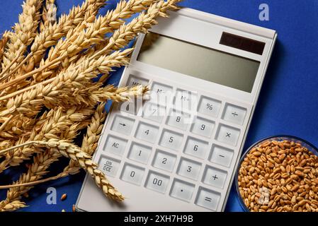 Weizenkorn und Weizenohren auf einem Labortisch. Prüfung der Getreidequalität und der Pestizidspuren. Draufsicht. Untersuchungen zur genetischen Modifikation bei landwirtschaftlichen Weizen. Agrarforschung Stockfoto
