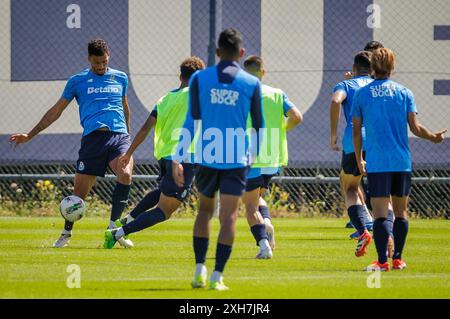 Porto, Portugal. Juli 2024. Porto, 07/12/2024 - Futebol Clube do Porto trainierte heute Morgen im Porto Gaia Sports Training and Training Center zur Vorbereitung auf die Saison 2024/25. David Carmo (Miguel Pereira/Global Imagens) Credit: Atlantico Press/Alamy Live News Stockfoto