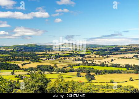 Südwestlich von Wenlock Edge in der Nähe von Easthope über die Sommerlandschaften von Ape Dale bis Caer Cardoc und The Long Mynd, Shropshire, England Stockfoto