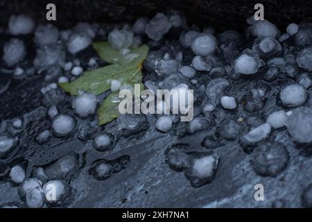 Ludwigsburg GER, Hagel in Ludwigsburg - Ossweil, Hagelkoerner in einem Garten, 12.07.2024 Hagelkoerner auf einer Terrasse, GER, Hagel in Ludwigsburg - Ossweil, Hagelkoerner in einem Garten, 12.07.2024 *** Ludwigsburg GER, Hail in Ludwigsburg Ossweil, Hailstone in einem Garten, 12 07 2024 Hailstone auf einer Terrasse, GER, Hail in Ludwigsburg Ossweil, Hagelstein im Garten, 12 07 2024 Copyright: xEibner-Pressefoto/Memmlerx EP MMR Stockfoto